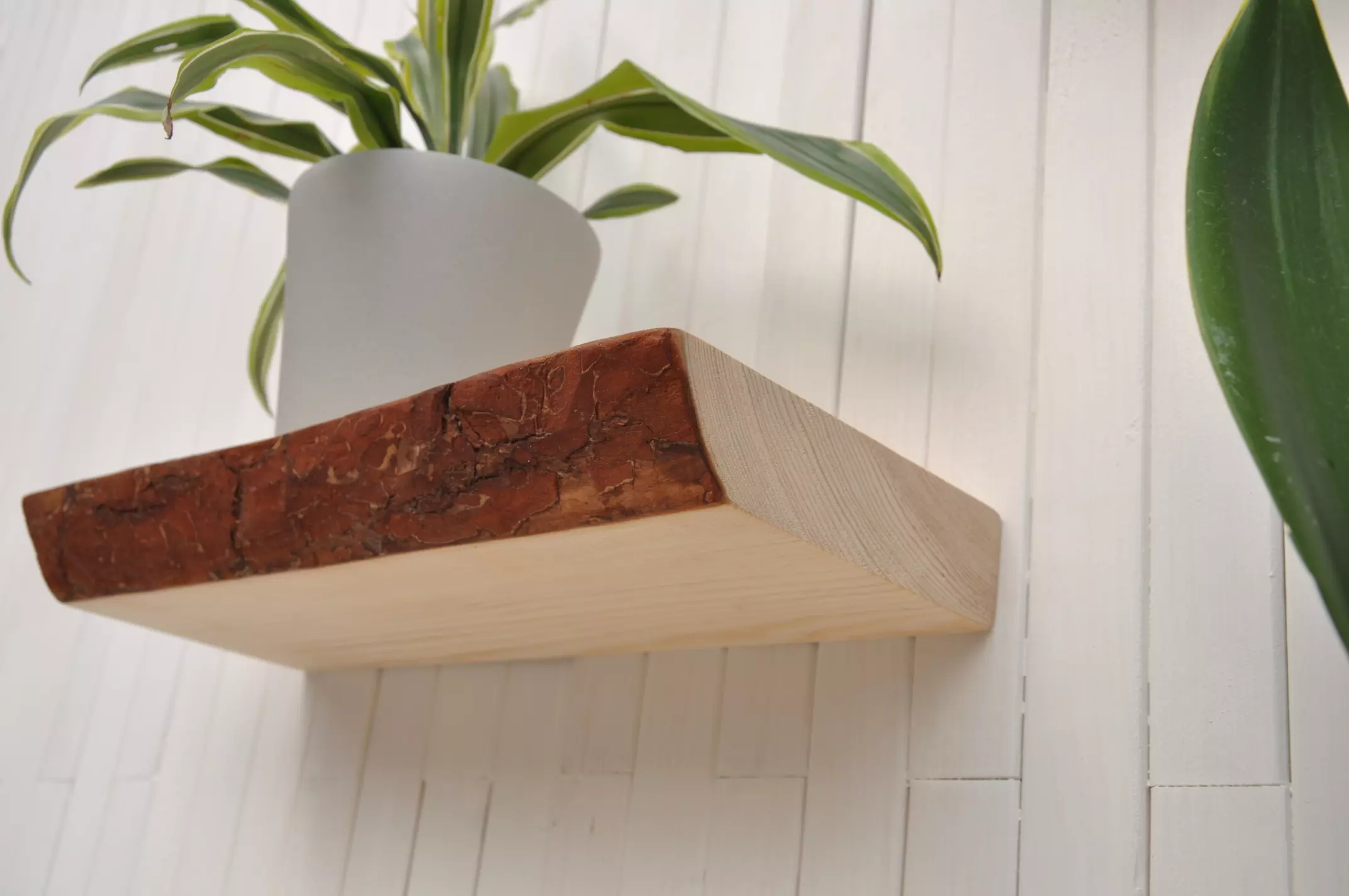 Zwevende planken met levende rand Bark van Barin Toys kunnen worden gebruikt als wandplank voor planten in rustieke, moderne en industriële interieurstijlen.