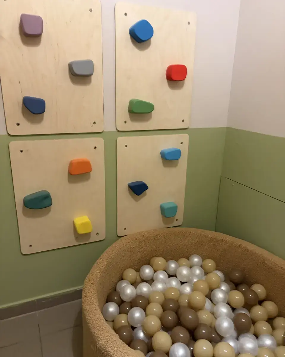 Barin Toys review photo of a sturdy climbing wall with fast delivery and easy installation