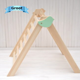 Groot kleuter gym in huis grove motoriek voor actief spelen en fitnessen.